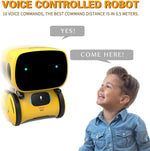 TDG Emo Smart Voice Command Robot